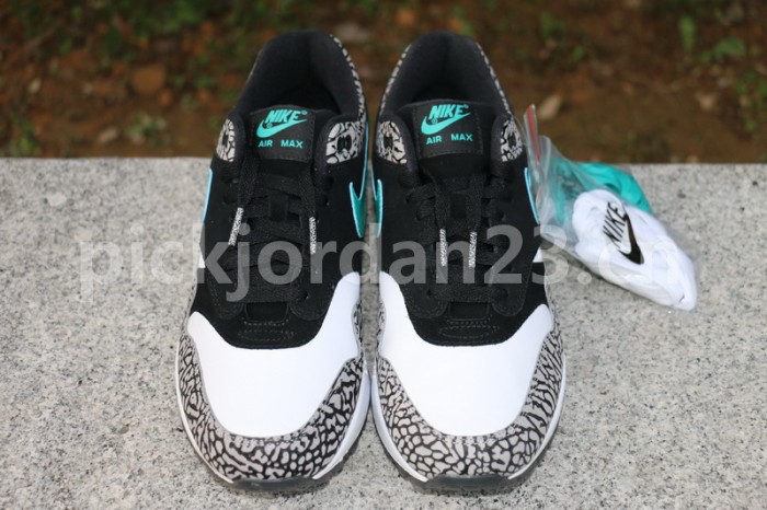 Authentic Nike Air Max 1 Premium Retro “atmos”