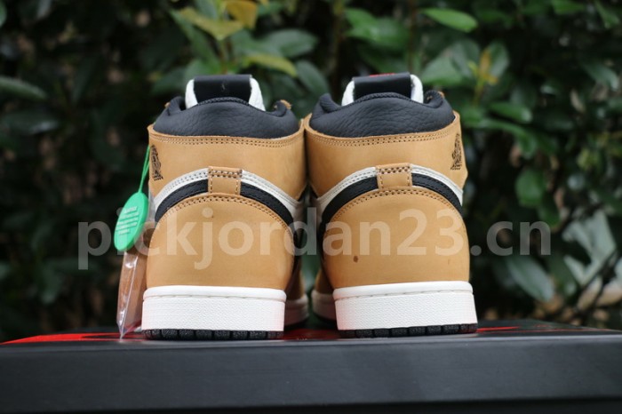 Authentic Air Jordan 1 “Rookie of the Year”