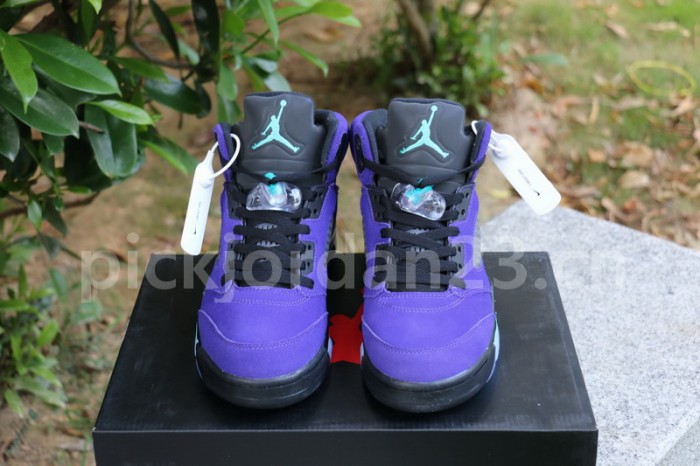 Authentic  Air Jordan 5 “Alternate Grape”