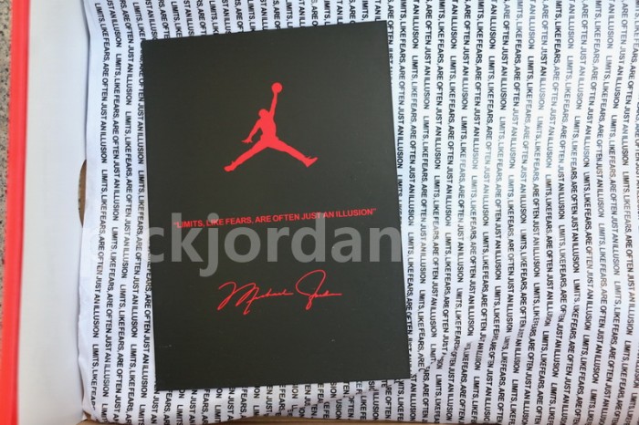 Authentic Facetasm x Air Jordan 1 Mid “Fearless”