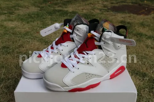 Authentic Air Jordan 6 “Hare”
