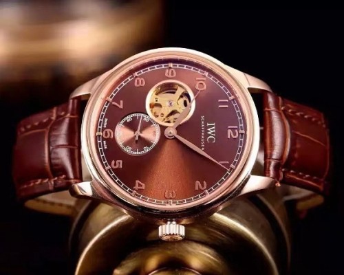 IWC Watches-298