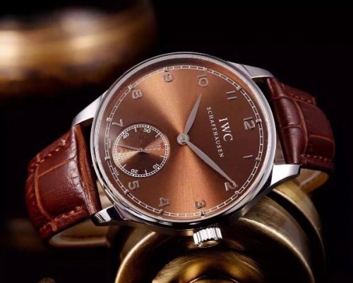 IWC Watches-273