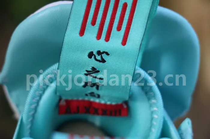 Authentic Air Jordan 33 BV5072 101