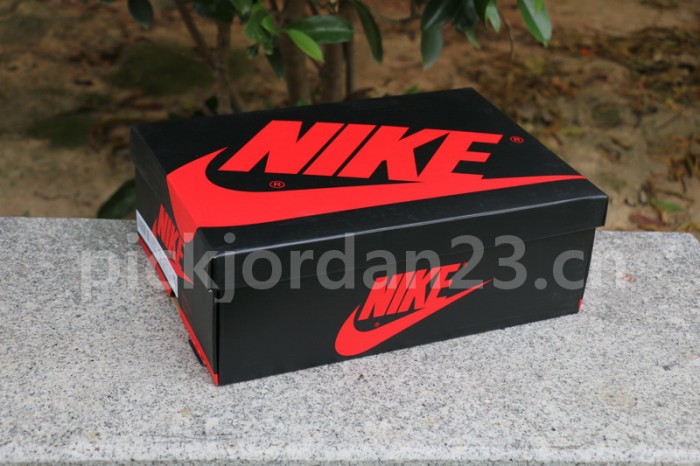 Authentic Air Jordan 1  High OG“ Light Smoke Grey”