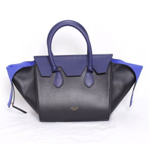 Celine handbags AAA-248