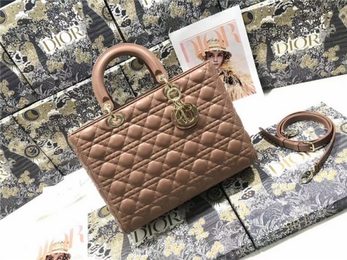 Dior Handbags High End Quality-102