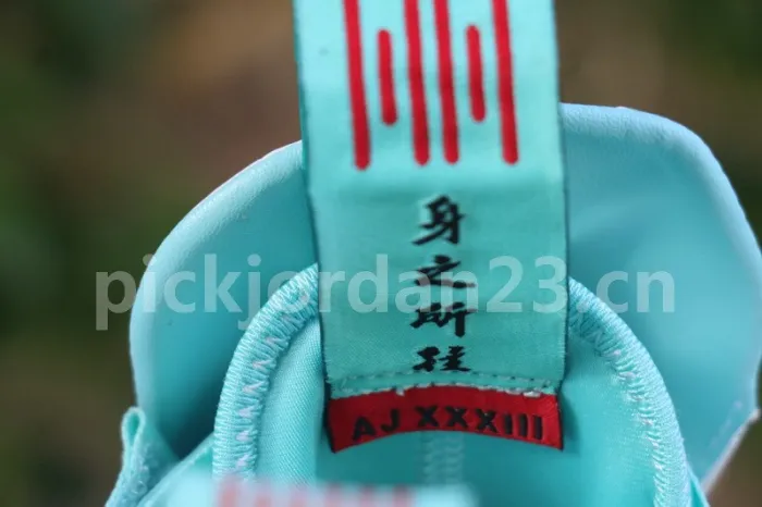 Authentic Air Jordan 33 BV5072 101