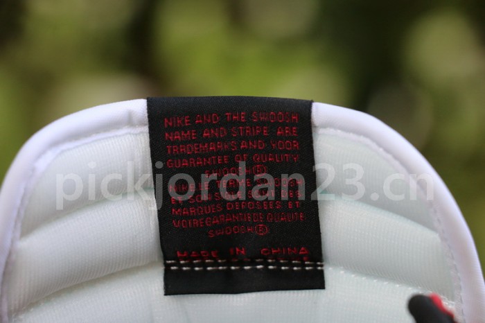 Authentic Air Jordan 1 “Blood Line 2.0”