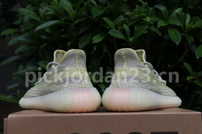 Authentic Yeezy Boost 350 V2 “ANTLIA”