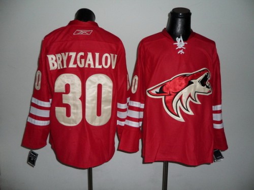 Phoenix Coyotes jerseys-009