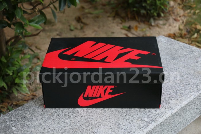 Authentic Air Jordan 1 “Blood Line 2.0”