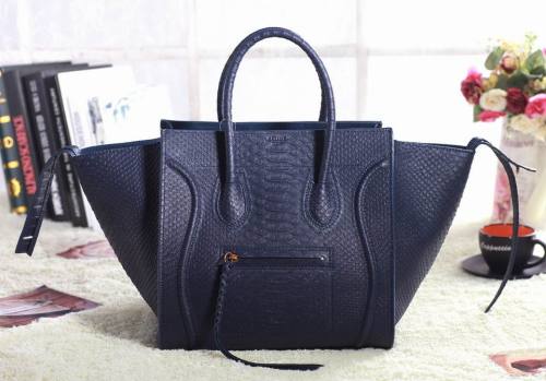 Celine handbags AAA-356
