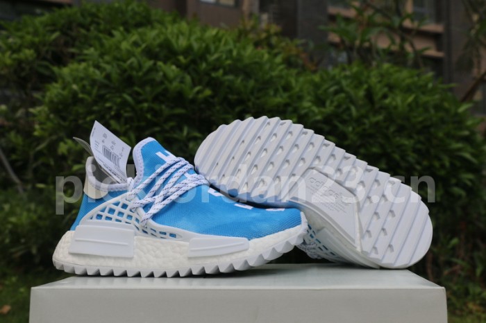 Authentic Pharrell x  AD NMD Peace