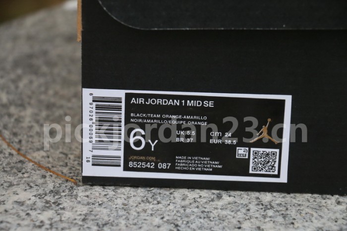 Authentic Air Jordan 1 Mid “Raygun”
