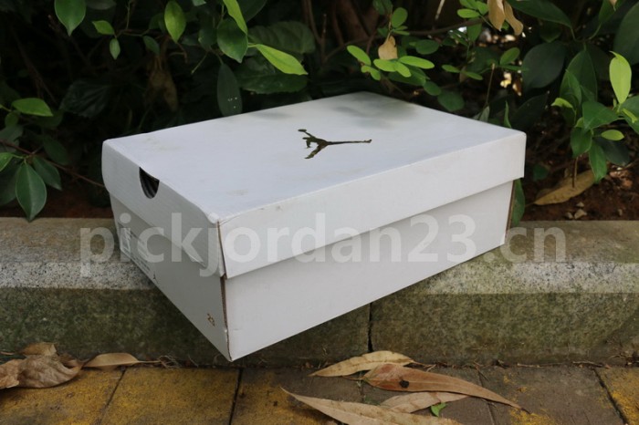 Authentic Air Jordan 1 PRM “Blue Void”