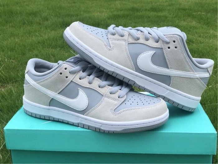 Authentic Nike Dunk SB Low TRD AR0778-110