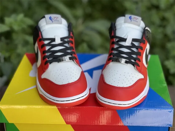 Authentic NBA x Nike Dunk Low EMB  “75th Anniversary“