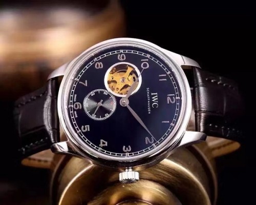 IWC Watches-301