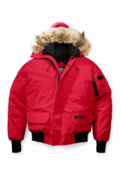 CG Down Jacket men-753