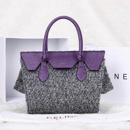 Celine handbags AAA-107