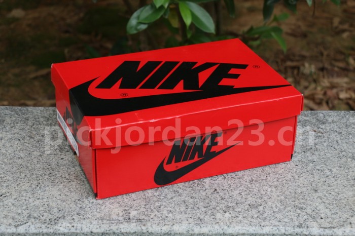 Authentic Air Jordan 1 High OG WMNS “Satin Snake”