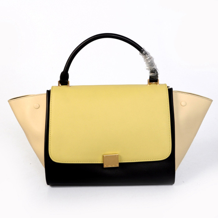 Celine handbags AAA-272