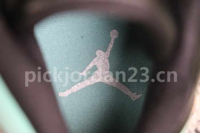 Authentic Air Jordan 13  Island Green 