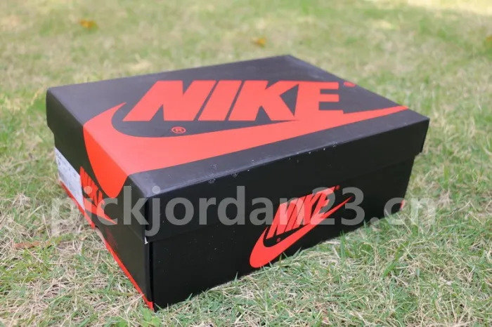 Authentic Air Jordan 1 OG High “Metallic Red”