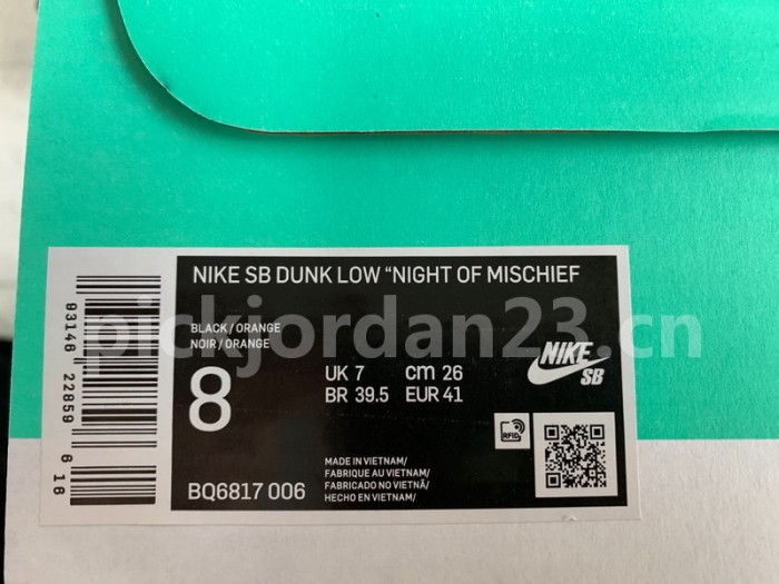 Authentic Nike SB Dunk Low “Night of Mischief”