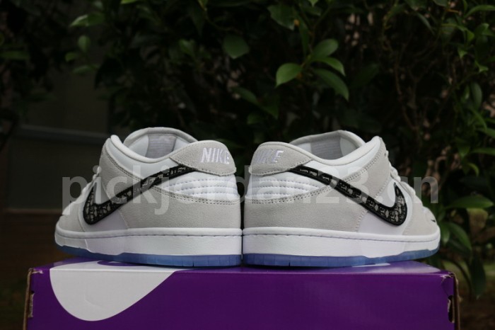 Authentic Dior x Nike Dunk Low SP