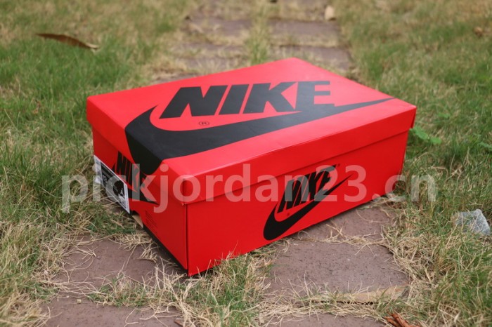 Authentic Air Jordan 1 “Fearless”