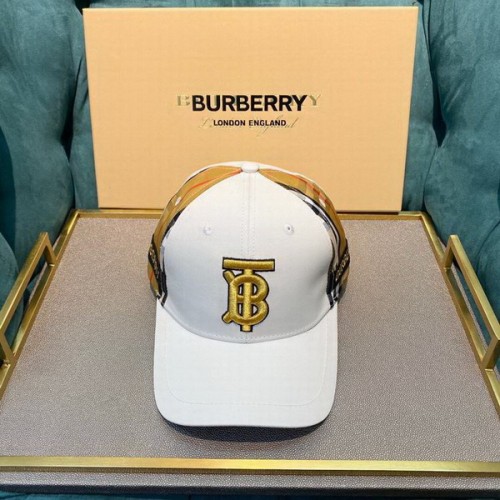 Burrerry Hats AAA-299