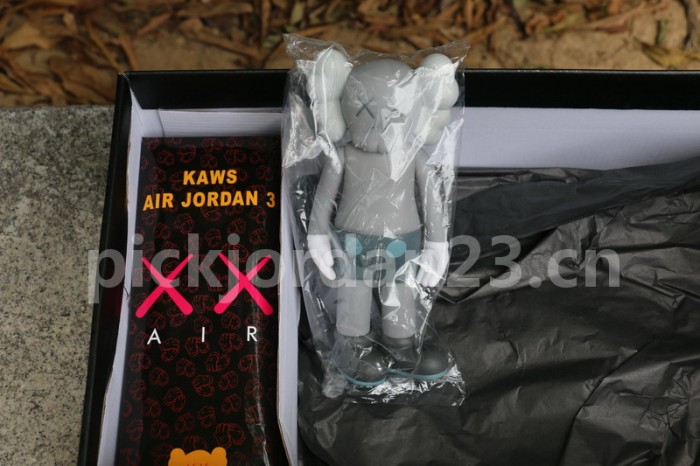 Authentic Air Jordan 3 Kaws