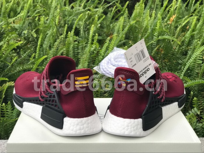 Authentic AD Human Race NMD x Pharrell Williams Purple