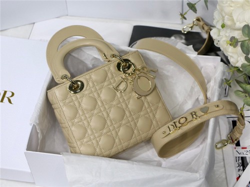 Dior Handbags High End Quality-092