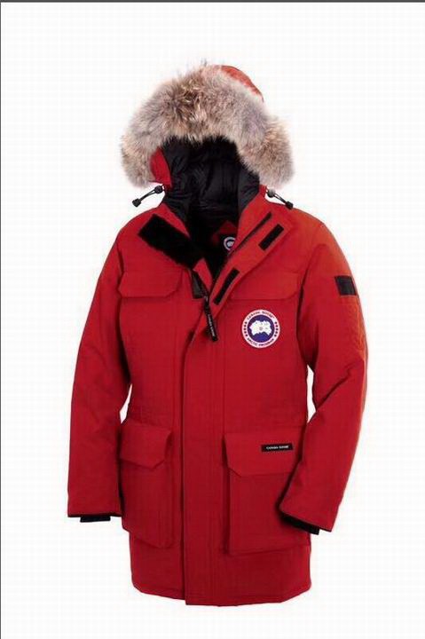 CG Down Jacket men-650