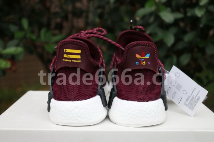 Authentic AD Human Race NMD x Pharrell Williams Purple