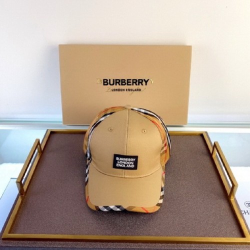 Burrerry Hats AAA-286