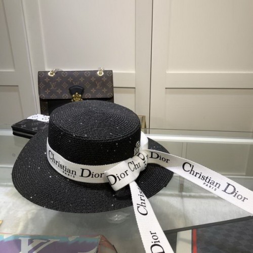 Dior Hats AAA-481