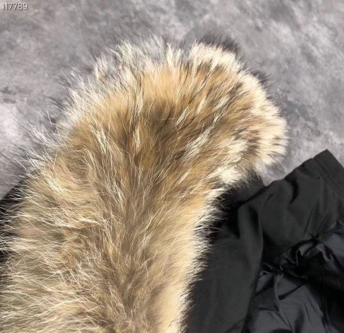 CG Down Jacket men-498