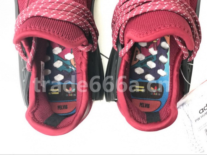 Authentic AD Human Race NMD x Pharrell Williams Purple