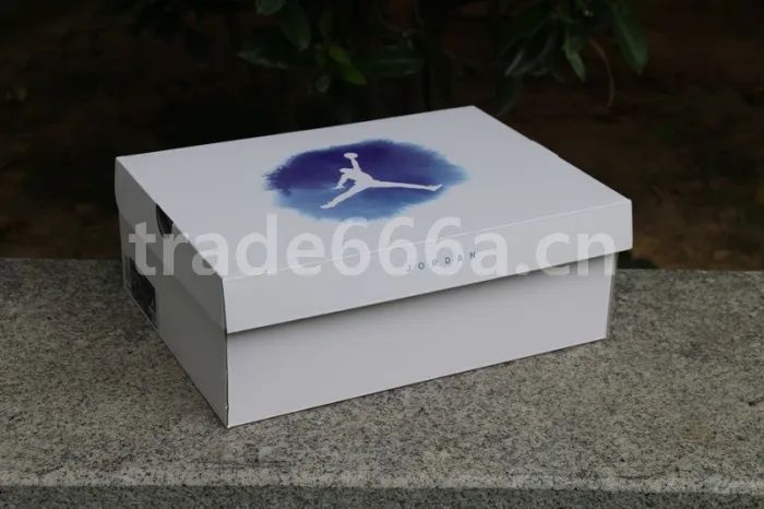 Authentic Air Jordan 12 “Stone Blue”