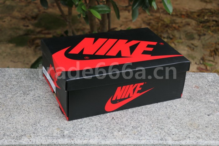 Authentic Air Jordan 1  High OG“ Light Smoke Grey”