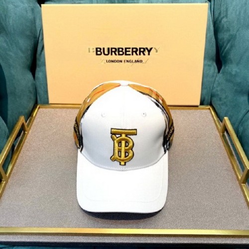 Burrerry Hats AAA-287