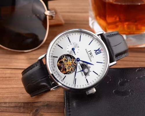 IWC Watches-101