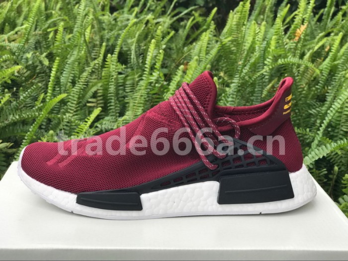 Authentic AD Human Race NMD x Pharrell Williams Purple