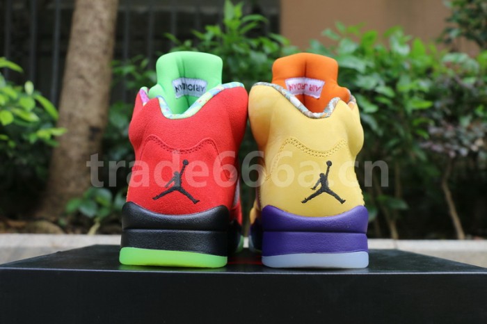Authentic Air Jordan 5 “What The”