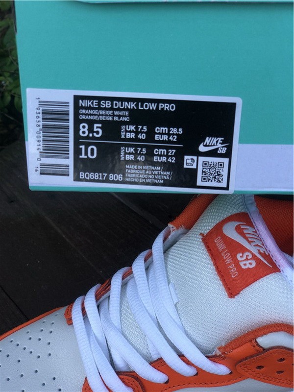 Authentic Nike SB Dunk Low Orange Beige