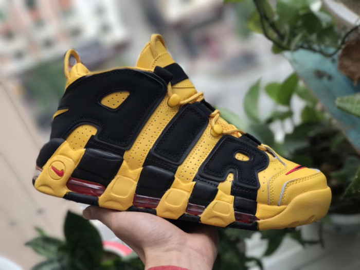 Authentic Air More Uptempo Lee